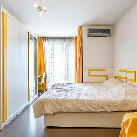 Vibrant Top Central Studio